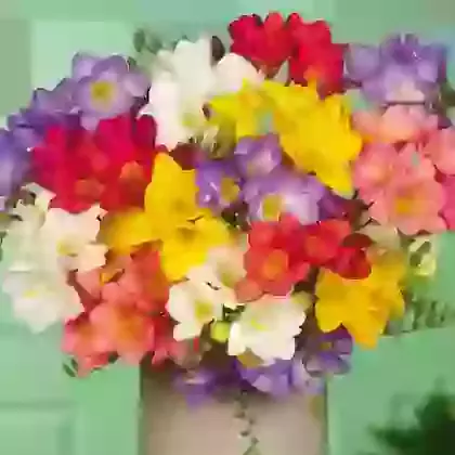 Single Mixture
